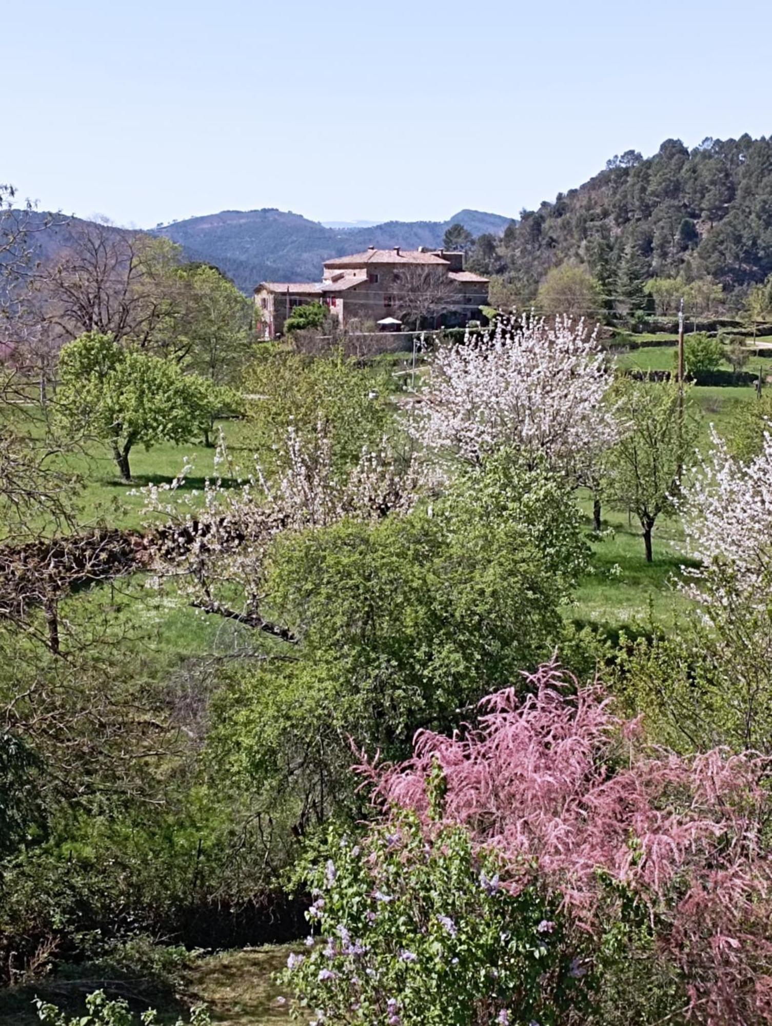 Chambre D'Hote Dans Mas Proche Anduze Cevennes Avec Piscine Mialet  Exterior photo