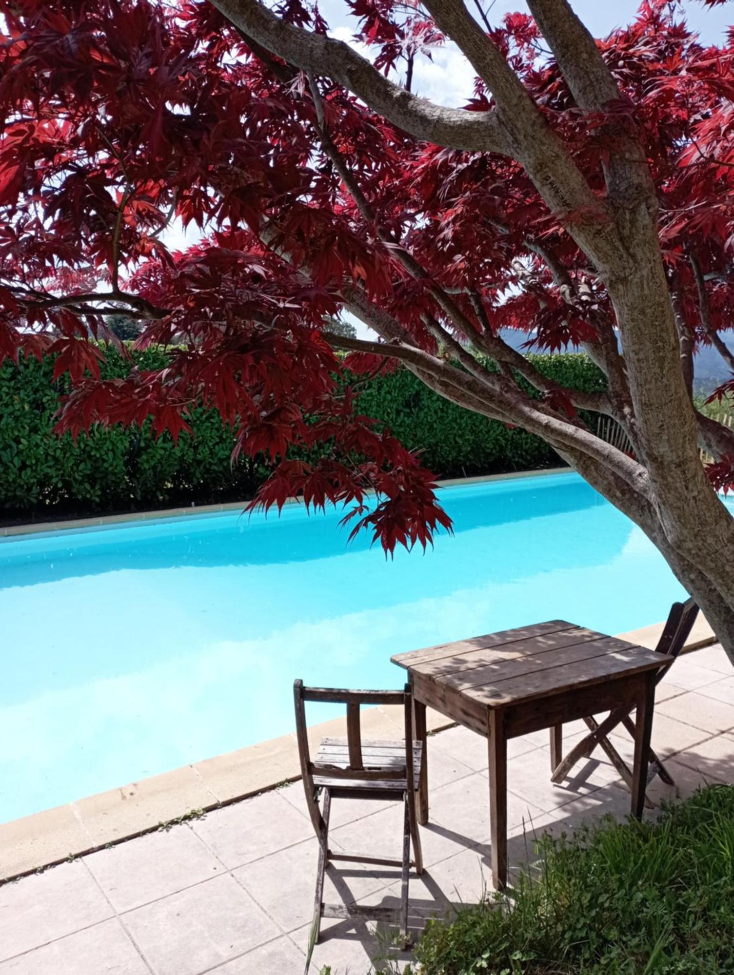 Chambre D'Hote Dans Mas Proche Anduze Cevennes Avec Piscine Mialet  Exterior photo