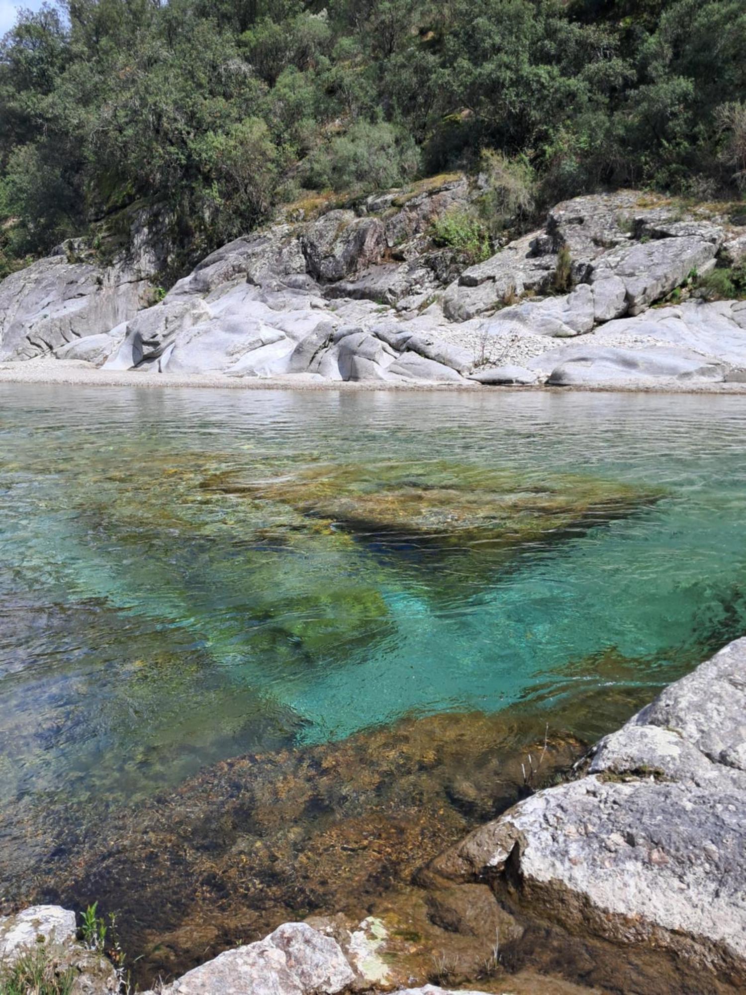 Chambre D'Hote Dans Mas Proche Anduze Cevennes Avec Piscine Mialet  Exterior photo